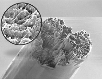 Ảnh chụp SEM Nanacelulose